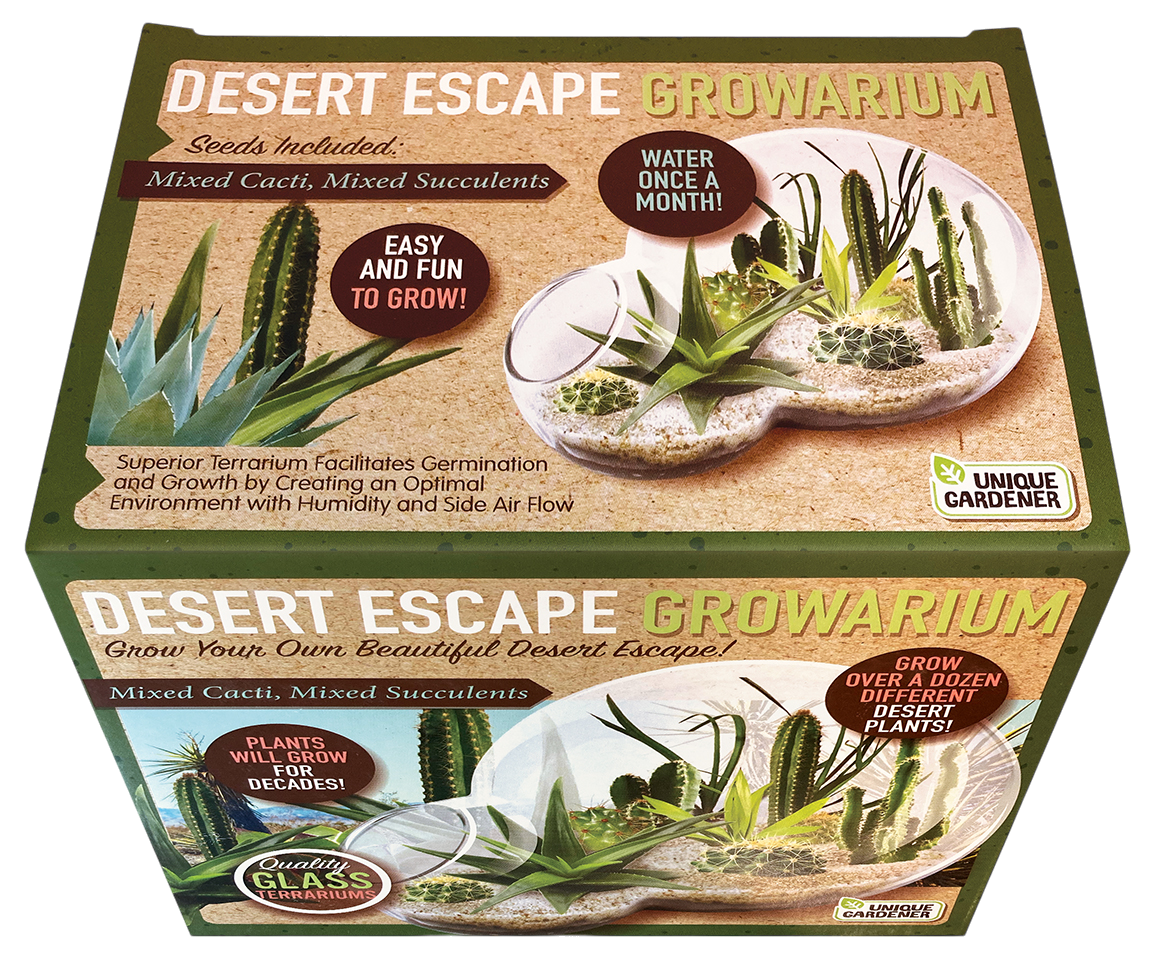 Desert Escape Growarium - Low-Maintenance Succulent Kit | New Maker Forge
