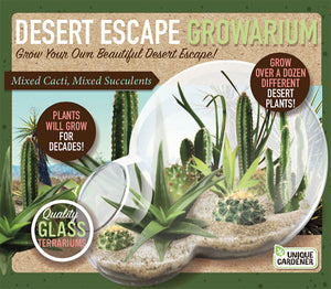 Desert Escape Growarium - Low-Maintenance Succulent Kit