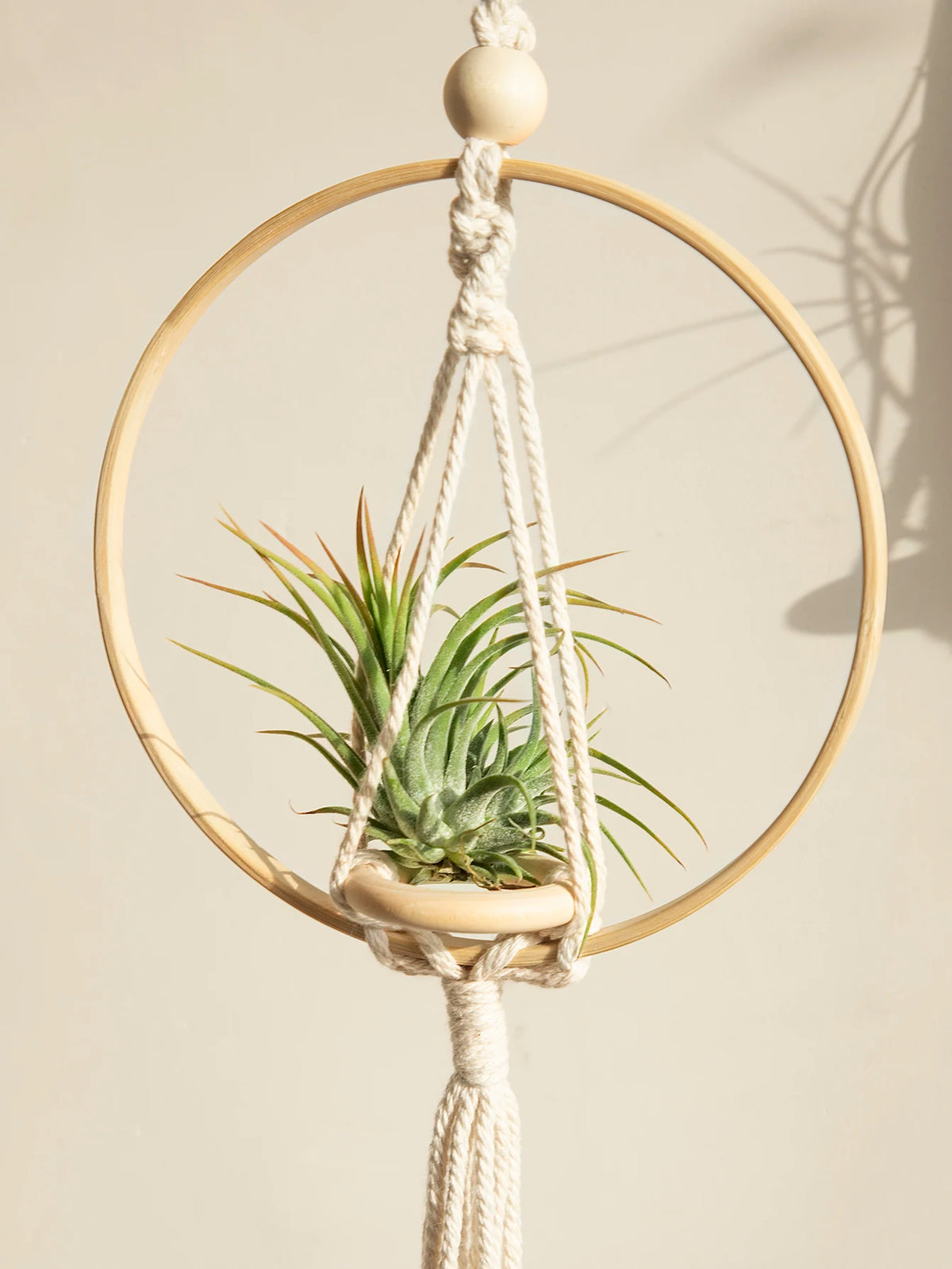 Rope Plant Hanger - Boho Macramé for Hanging Gardens