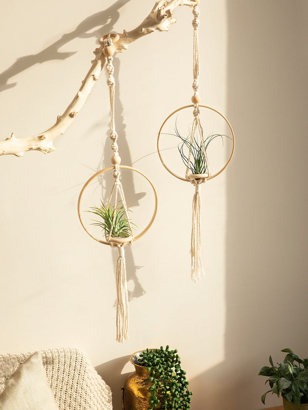 Rope Plant Hanger - Boho Macramé for Hanging Gardens