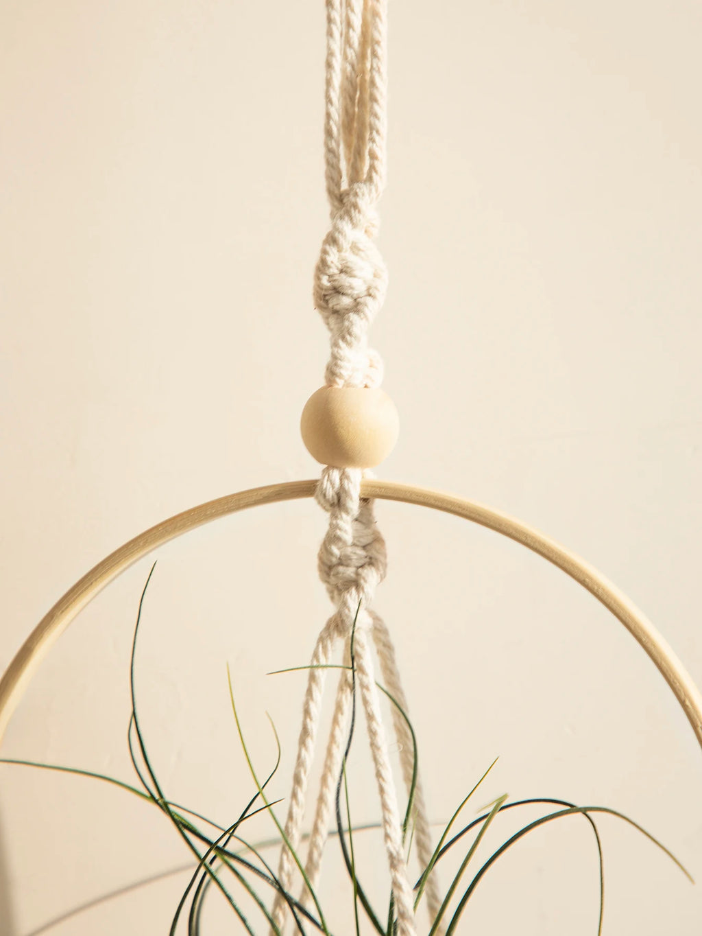 Rope Plant Hanger - Boho Macramé for Hanging Gardens