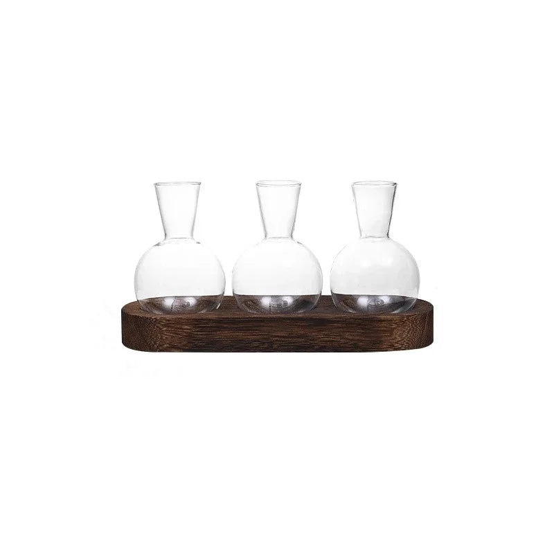 Glass Terrarium Kit - Easy DIY Plant Container | New Maker Forge