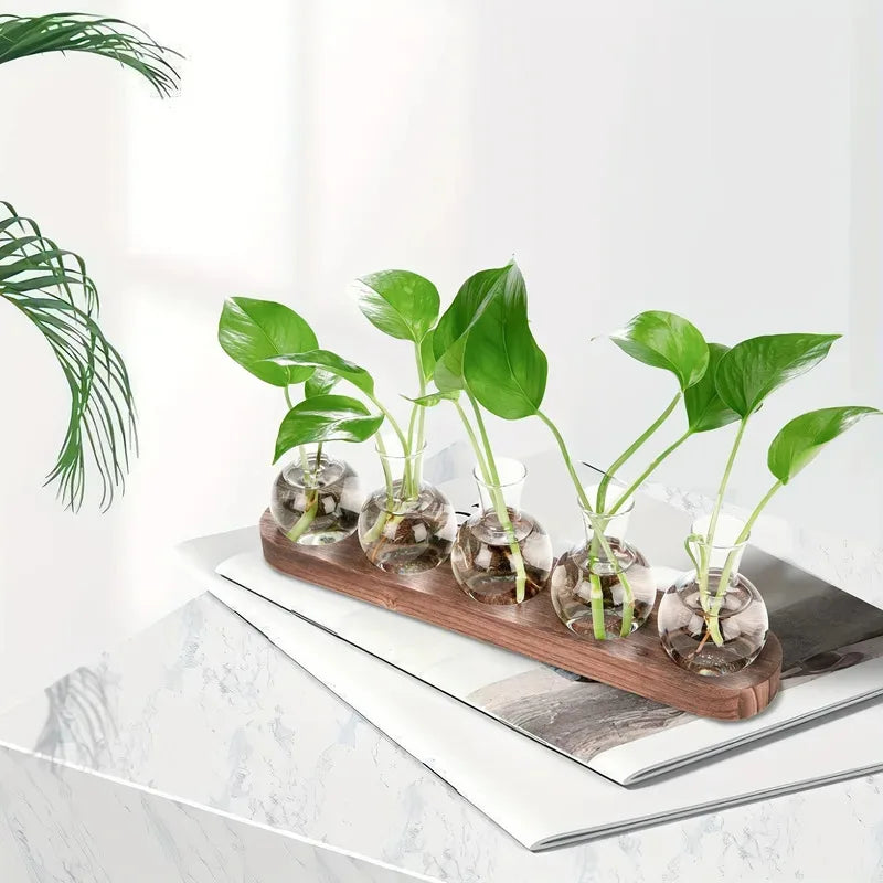 Glass Terrarium Kit - Easy DIY Plant Container | New Maker Forge