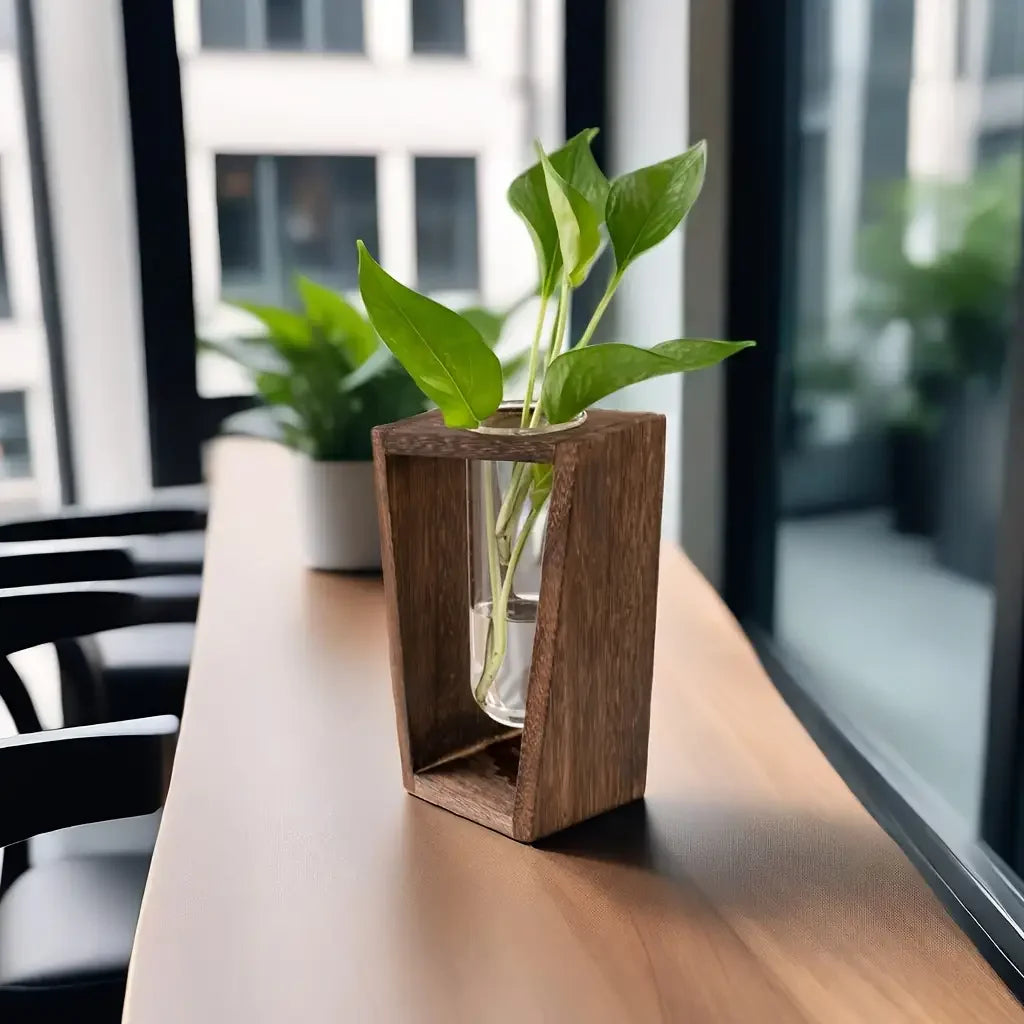 Water Propagation Vase - Grow Plants in Water | New Maker Forge