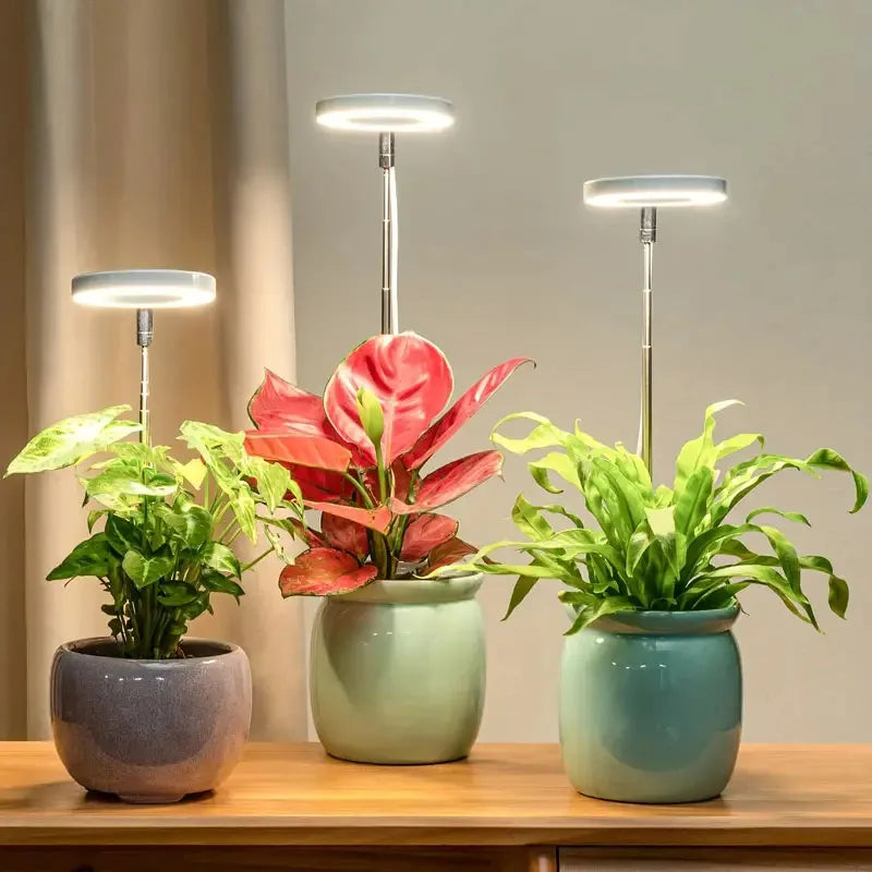 LED Grow Light - Full Spectrum for Indoor Herbs | New Maker Forge