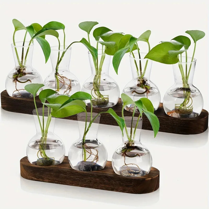 Glass Terrarium Kit - Easy DIY Plant Container | New Maker Forge