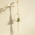 Rope Plant Hanger - Boho Macramé for Hanging Gardens