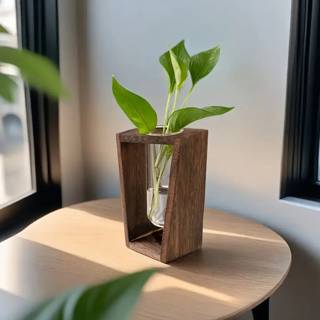 Water Propagation Vase - Grow Plants in Water | New Maker Forge