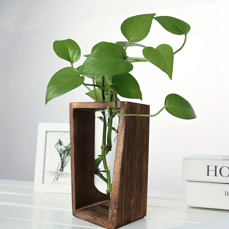 Water Propagation Vase - Grow Plants in Water | New Maker Forge