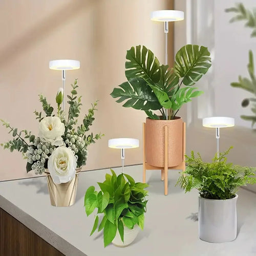 LED Grow Light - Full Spectrum for Indoor Herbs | New Maker Forge