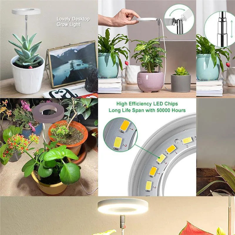 LED Grow Light - Full Spectrum for Indoor Herbs | New Maker Forge