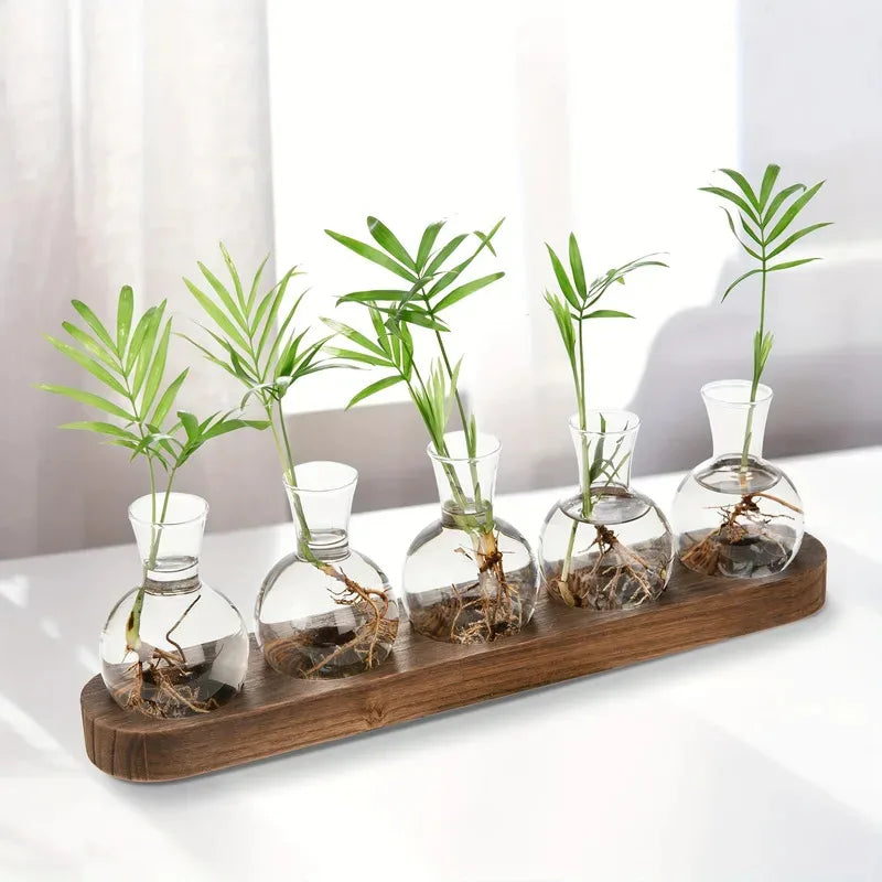 Glass Terrarium Kit - Easy DIY Plant Container | New Maker Forge
