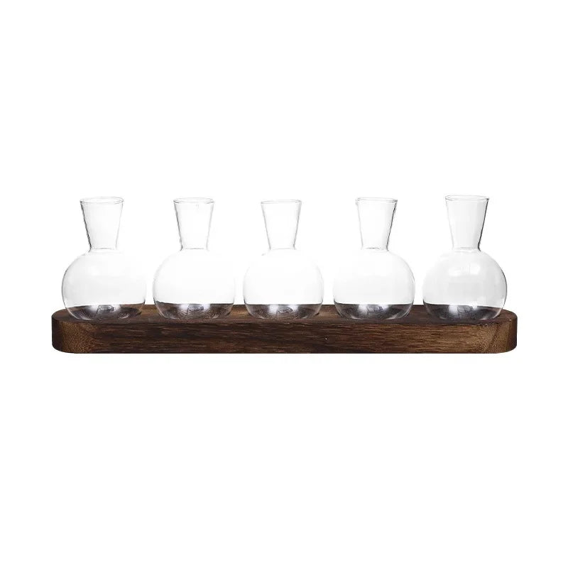Glass Terrarium Kit - Easy DIY Plant Container | New Maker Forge