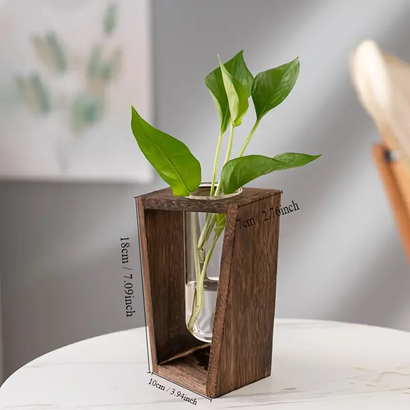 Water Propagation Vase - Grow Plants in Water | New Maker Forge